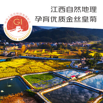 菊芝韵菊花茶 30朵金丝皇菊27g 0添加无硫熏 茶叶一朵一杯 菊芝韵菊花茶 30朵金丝皇菊27g 0添加无硫熏 茶叶一朵一杯