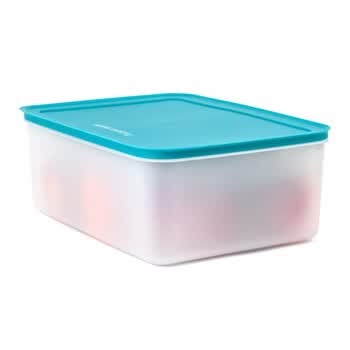特百惠tupperware保鲜盒57l超大雪影56l冷藏冷冻冰箱收纳盒加大储藏盒