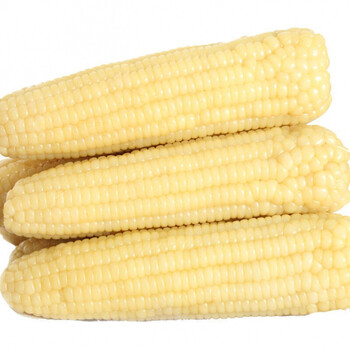 东北速冻粘玉米 糯玉米大棒 粘苞米 甜懦玉米粒 单棒370-450g 6支 单
