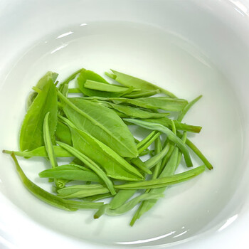 双碑绿茶信阳毛尖200g2026年新茶雨前正宗春茶茶叶高档礼盒装送礼送人