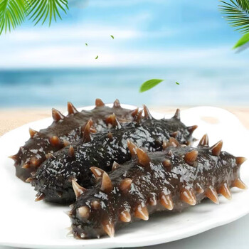 海参即食深海海参海鲜礼盒生鲜冷冻即食海参青岛特产 冷冻即食海参3斤