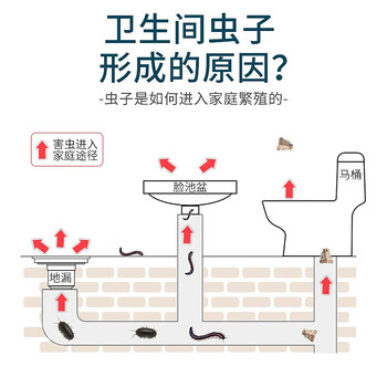 郁康下水道杀虫剂专杀去除小飞虫卫生间厕所浴室管道除虫220ml