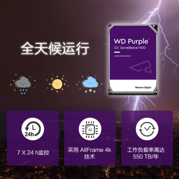 西部数据 监控级硬盘 WD Purple 西数紫盘pro 10TB CMR垂直 7200转 256MB SATA AI技术(WD101EJRP)