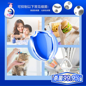 威露士(Walch)健康抑菌99.9%*洗手液成人儿童通用525ml*6瓶 倍护滋润 威露士(Walch)健康抑菌99.9%*洗手液成人儿童通用525ml*6瓶 倍护滋润