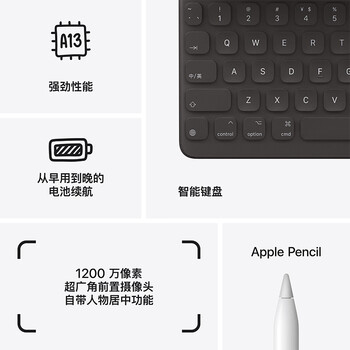 Apple/苹果 iPad(第9代)10.2英寸平板电脑 2021年款(256GB WLAN版/MK2N3CH/A)深空灰色
