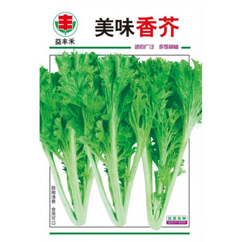 香芥菜种籽 香菜种子香叶小青菜 四川春秋冬四季田园盆栽蔬菜种孑