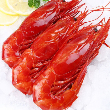 红魔虾新鲜速冻刺身精品超大号多规格发货玛木拉德 【中款】2斤20-26