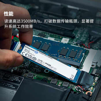 Kingston 金士顿 500GB SSD固态硬盘 M.2(NVMe PCIe 4.0×4)兼容PCIe3.0 NV2 读速3500MB/s AI 电脑配件