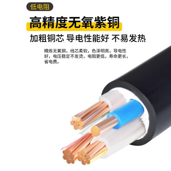 珠江电缆 ZC-YJV国标3+2铜芯3*50+2*25平方户外充电桩阻燃护套电缆 1米 定制品
