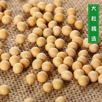 东北农家自种新大豆大小粒笨黄豆可发芽打豆浆黄豆批发精选大粒黄豆3斤 图片价格品牌报价 京东