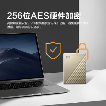 西部数据（WD）5TB 移动硬盘 type-c My Passport Ultra 2.5英寸 金 机械硬盘 大容量 手机电脑外接 加密兼容Mac