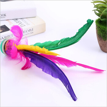 杜威克 毽子大号鹅毛花毽儿 儿童小学生成人羽毛毽球耐踢牛筋底 5个装 杜威克 毽子大号鹅毛花毽儿 儿童小学生成人羽毛毽球耐踢牛筋底 5个装