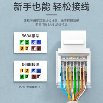 胜为（shengwei）超五类网络模块 CAT5e免打网络面板模块 RJ45水晶头电脑网线插座连接头 CMK5003H
