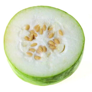 新鲜小冬瓜批发价毛冬瓜挂霜白冬瓜本地整个批发价毛节瓜大白瓜 9-10