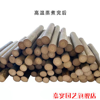 实心竹实心玉竹原材料毛料竹子文玩手把件高密度方料扁料三角料鱼 1.