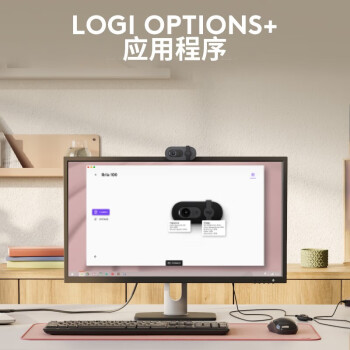 罗技（Logitech）Brio 90 全高清摄像头 视频会议网课摄像头 电脑笔记本摄像头 带麦克风 芍药白