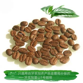 Dux牙买加蓝山咖啡豆牙买加农业部官方授权蓝山1号高端咖啡手冲125g
