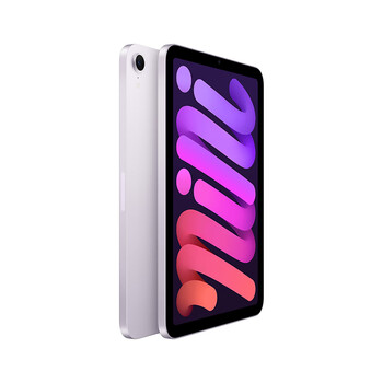 Apple/苹果 iPad mini (A17 Pro) 8.3英寸 平板电脑(256G WLAN版/mini7/MXNE3CH/A)紫色
