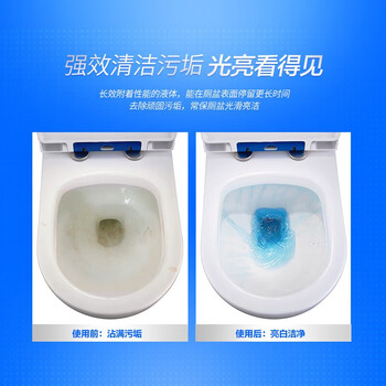 亮净清洁组合【玻璃清洁剂700ml+强力光亮洁厕液洁厕灵1L】