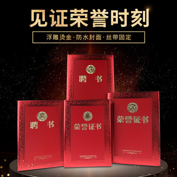 得印（befon）12K/10本精致烫金荣誉聘书任命书 竖式聘任证书 附12张内芯内页3955