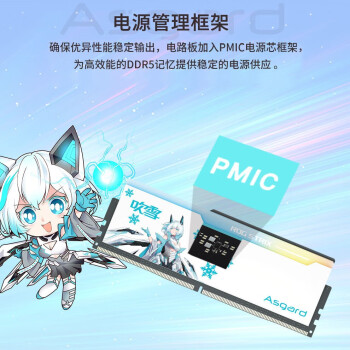 阿斯加特（Asgard）32GB(16GBx2)套 DDR5 6400 台式机内存 RGB灯条-吹雪联名款 适配黑神话悟空