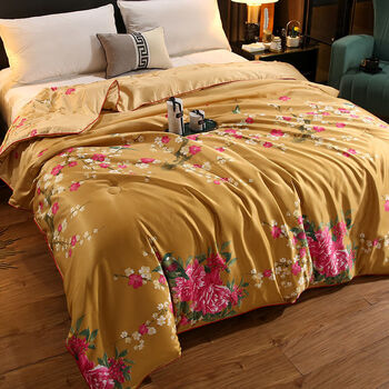 蚕丝被桑蚕丝被子春秋被芯加厚冬被单双人空调被夏被丝绸蚕丝被江南