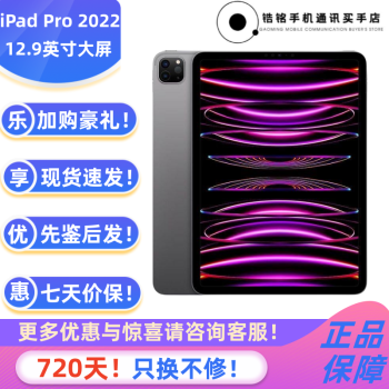 苹果新iPad Pro 12.9英寸256GB - 京东