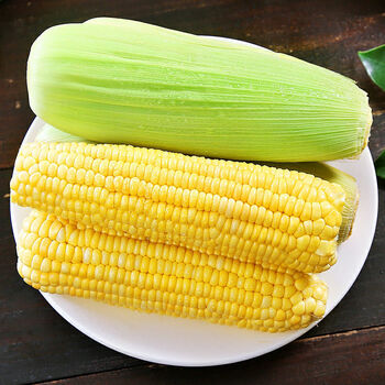 媚调 云南正宗黄金水果玉米新鲜整箱包谷生吃甜脆牛奶爆浆 3斤精选装
