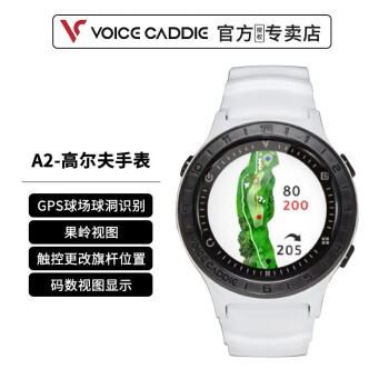 VOICE CADDIE - 京东