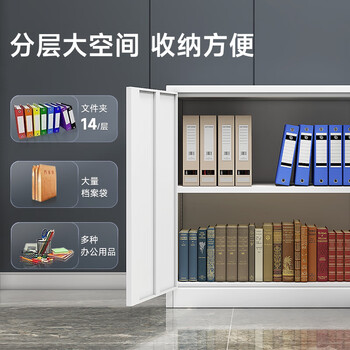 奈高（NAIGAO）矮柜钢制铁皮柜储物柜文件柜财务办公柜资料柜员工档案柜