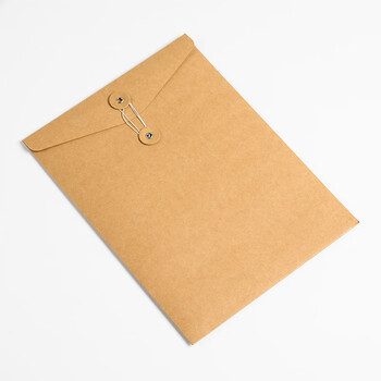 泰档空白文件袋竖版深色牛卡纸337g加厚A4纸质档案袋资料袋投标资料合同收纳纸袋【10个】JDS337