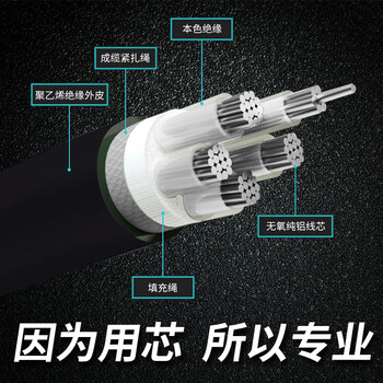 沈缆红星 电缆线YJLV-0.6/1KV 4*95平方四芯铝缆架空户外电线电缆 1米