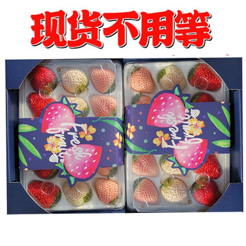 顺丰日本品种白草莓淡雪草莓白雪公主草莓新鲜水果三色拼装礼盒天使淡