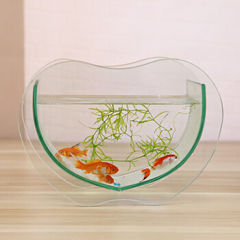 宝贝故事 小金鱼缸 创意圆形玻璃鱼缸透明客厅中型办公室桌面小型金鱼