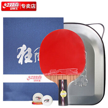 DHS狂飚No.5瑰木面材蓝海绵乒乓球拍狂飚直拍双面反胶乒乓拍