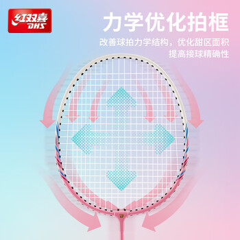 红双喜（DHS）羽毛球球拍对拍套装训练比赛超轻耐打成人学生防磨羽拍 P200附3球