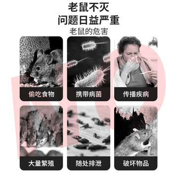 鼠道难粘鼠板超强威力大号加厚灭鼠商家用黏鼠贴抓捉捕老鼠粘鼠板5片