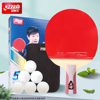 红双喜DHS狂飚乒乓球拍 直拍双面反胶弧圈结合快攻5星单拍H5006(附拍套)