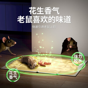 绿叶 爱国者粘鼠板共40片 加量胶水强劲粘力 花生香味引诱