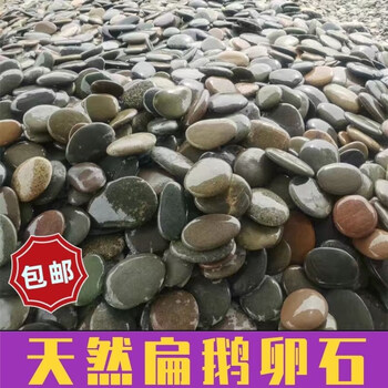 clcey打水漂专用石头水漂石天然扁石头鹅卵石鱼缸造景乌龟爬台晒背