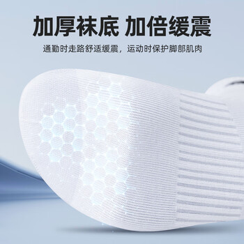 李宁（LI-NING）袜子（3双装）运动袜篮球袜男四季吸汗防脱保暖加厚耐磨女中筒袜