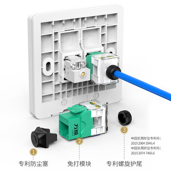 万级 六类网络面板 千兆免打网线插座二位双口 86型网络+电视家装宽带墙壁装修面板 1-14946白