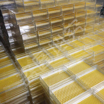 蜜蜂巢础中蜂意蜂巢蜜巢基巢蜜盒巢础片500g250g中蜂250g装36片