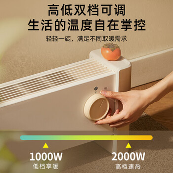 小熊（Bear）（HWD）石墨烯取暖器 家用地暖式循环对流电热取暖神器全屋升温 浴室防水干衣电暖气片DNQ-P20G5