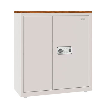 国保（Guub）保密柜G1指纹密码锁办公文件柜全钢制矮柜档案柜员工柜G208-G1