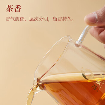 武夷星乌龙茶山语武夷山岩茶大红袍特级264g礼盒装节日送礼茶叶SY1800 武夷星乌龙茶山语武夷山岩茶大红袍特级264g礼盒装节日送礼茶叶SY1800