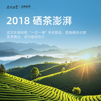 恩施玉露利川红茶200g蒸青绿茶新茶春茶明前一红一绿陶瓷礼盒年货送礼