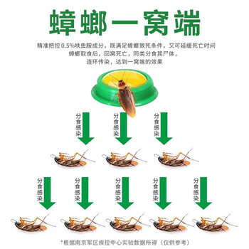 郁康蟑螂药全窝室内端呋虫胺12粒*3盒灭蟑螂贴胶饵除杀驱蟑螂克星家用