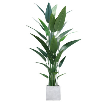 仿真植物美人蕉北欧风绿植大型盆栽摆件客厅室内落地装饰假树造景140