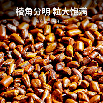 贡苑决明子茶1000g大份量 精选粒大饱满炒熟决明子熬夜养生花草茶罐装